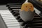 Baby chickenÂ cartoon sitting in broken egg stand on the Piano Keyboard. Â cartoon sitting in broken egg stand on the Piano